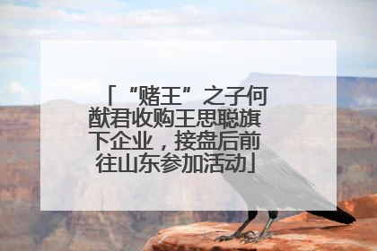 “赌王”之子何猷君收购王思聪旗下企业，接盘后前往山东参加活动