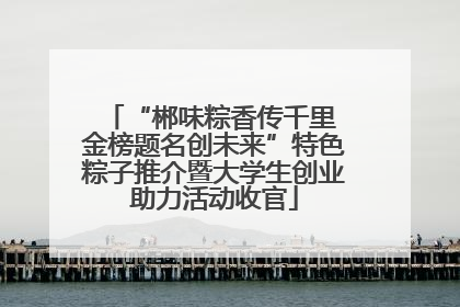 “郴味粽香传千里 金榜题名创未来”特色粽子推介暨大学生创业助力活动收官