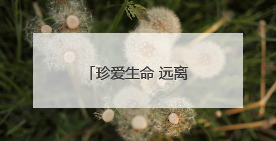 珍爱生命 远离毒蘑菇｜知识窗