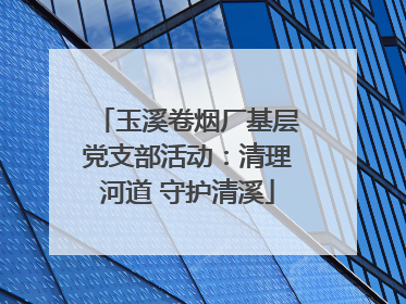 玉溪卷烟厂基层党支部活动：清理河道 守护清溪