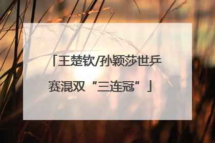 王楚钦/孙颖莎世乒赛混双“三连冠”