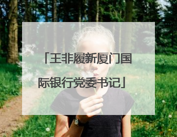 王非履新厦门国际银行党委书记