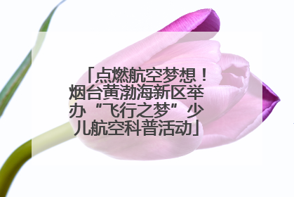 点燃航空梦想！烟台黄渤海新区举办“飞行之梦”少儿航空科普活动
