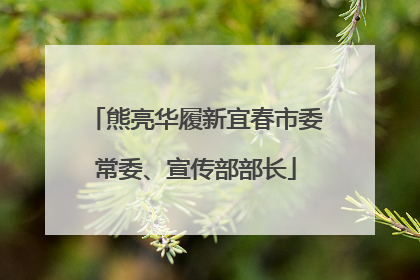 熊亮华履新宜春市委常委、宣传部部长