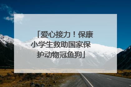 爱心接力！保康小学生救助国家保护动物冠鱼狗