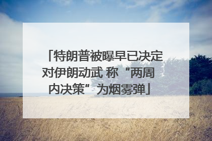 特朗普被曝早已决定对伊朗动武 称“两周内决策”为烟雾弹