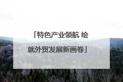 特色产业领航 绘就外贸发展新画卷
