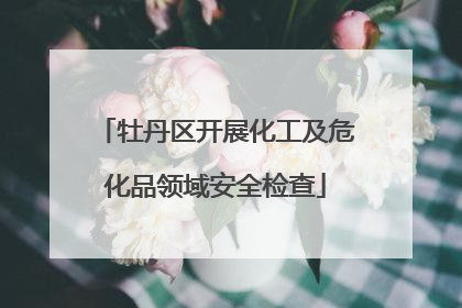 牡丹区开展化工及危化品领域安全检查