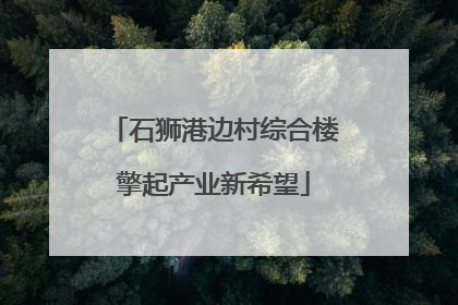 石狮港边村综合楼擎起产业新希望
