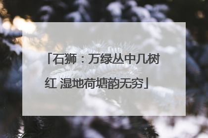 石狮：万绿丛中几树红 湿地荷塘韵无穷