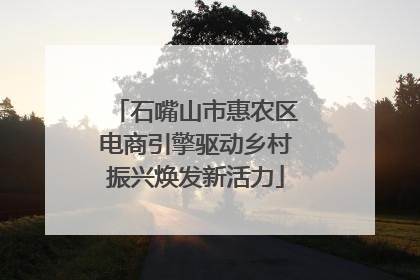 石嘴山市惠农区电商引擎驱动乡村振兴焕发新活力