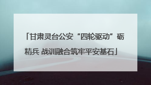 甘肃灵台公安“四轮驱动”砺精兵 战训融合筑牢平安基石