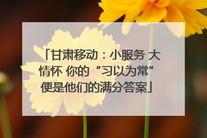 甘肃移动：小服务 大情怀 你的“习以为常”便是他们的满分答案