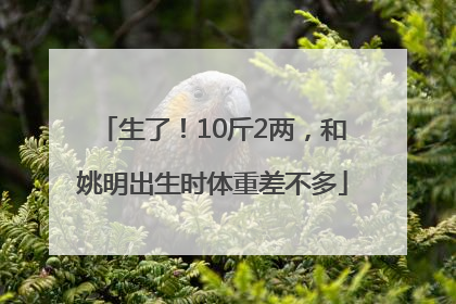 生了！10斤2两，和姚明出生时体重差不多