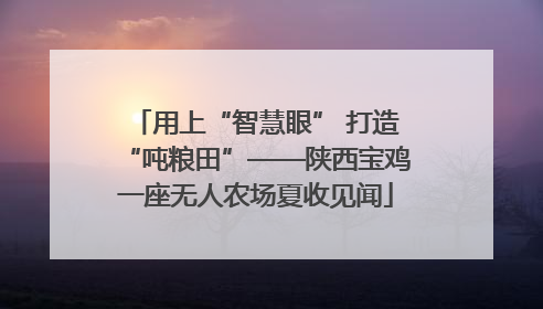 用上“智慧眼” 打造“吨粮田”——陕西宝鸡一座无人农场夏收见闻