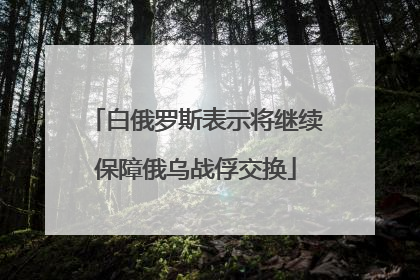 白俄罗斯表示将继续保障俄乌战俘交换