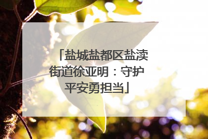 盐城盐都区盐渎街道徐亚明：守护平安勇担当