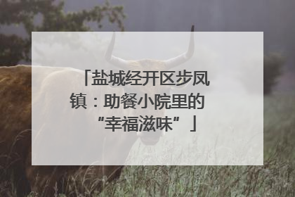 盐城经开区步凤镇：助餐小院里的“幸福滋味”
