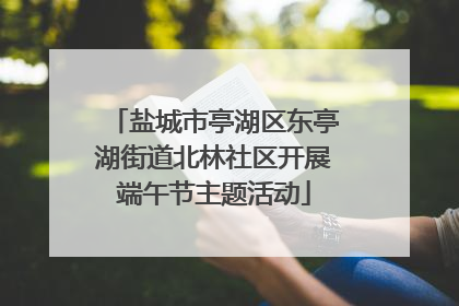 盐城市亭湖区东亭湖街道北林社区开展端午节主题活动