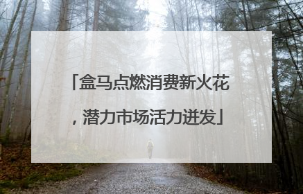 盒马点燃消费新火花，潜力市场活力迸发