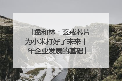 盘和林：玄戒芯片为小米打好了未来十年企业发展的基础
