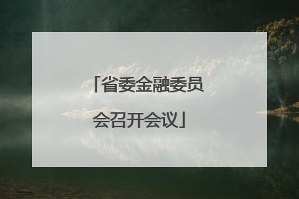 省委金融委员会召开会议