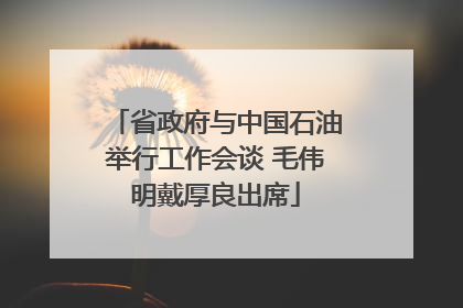 省政府与中国石油举行工作会谈 毛伟明戴厚良出席
