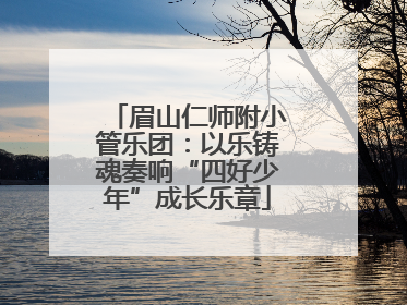 眉山仁师附小管乐团：以乐铸魂奏响“四好少年”成长乐章