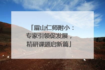 眉山仁师附小：专家引领促发展，精研课题启新篇