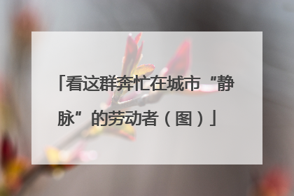 看这群奔忙在城市“静脉”的劳动者（图）