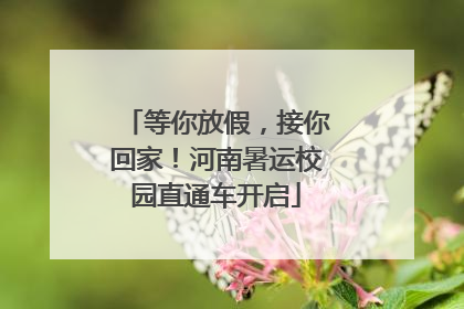 等你放假，接你回家！河南暑运校园直通车开启