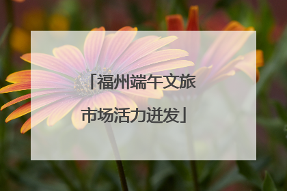 福州端午文旅市场活力迸发