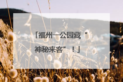 福州一公园藏“神秘来客”！