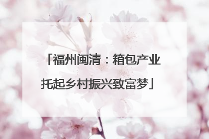 福州闽清：箱包产业托起乡村振兴致富梦