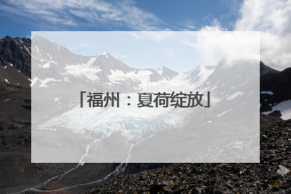 福州：夏荷绽放