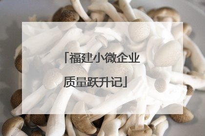 福建小微企业质量跃升记