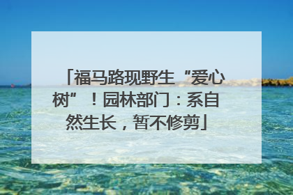 福马路现野生“爱心树”！园林部门：系自然生长，暂不修剪