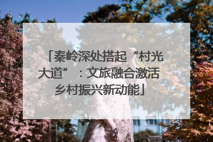 秦岭深处搭起“村光大道”：文旅融合激活乡村振兴新动能
