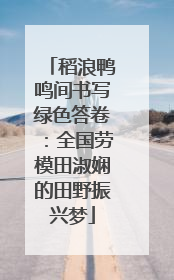 稻浪鸭鸣间书写绿色答卷：全国劳模田淑娴的田野振兴梦