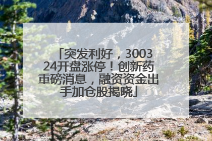 突发利好，300324开盘涨停！创新药重磅消息，融资资金出手加仓股揭晓