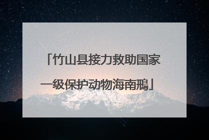 竹山县接力救助国家一级保护动物海南鳽
