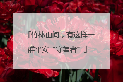 竹林山间，有这样一群平安“守望者”
