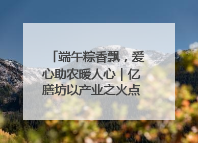 端午粽香飘，爱心助农暖人心｜亿膳坊以产业之火点亮乡村振兴路