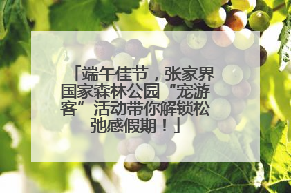 端午佳节，张家界国家森林公园“宠游客”活动带你解锁松弛感假期！