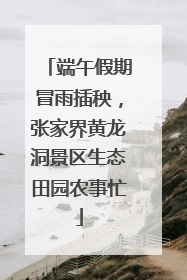 端午假期冒雨插秧，张家界黄龙洞景区生态田园农事忙