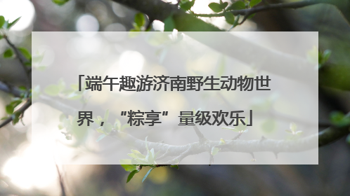 端午趣游济南野生动物世界，“粽享”量级欢乐
