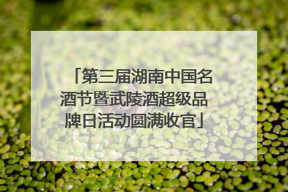 第三届湖南中国名酒节暨武陵酒超级品牌日活动圆满收官