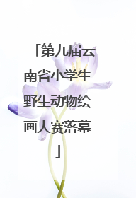 第九届云南省小学生野生动物绘画大赛落幕