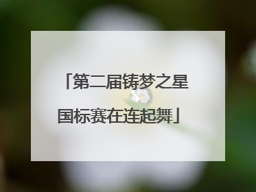 第二届铸梦之星国标赛在连起舞