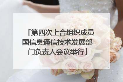 第四次上合组织成员国信息通信技术发展部门负责人会议举行